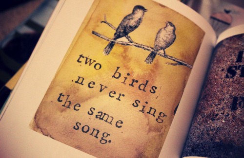 twobirds