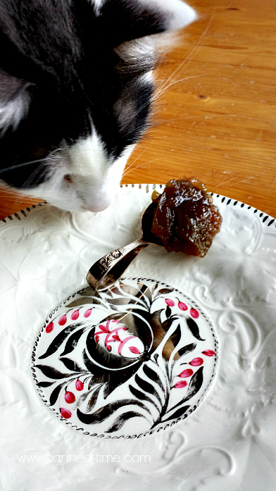 FRIDAY FEATURE: Interview with Angela of Canned Time // Be Sol-Ful