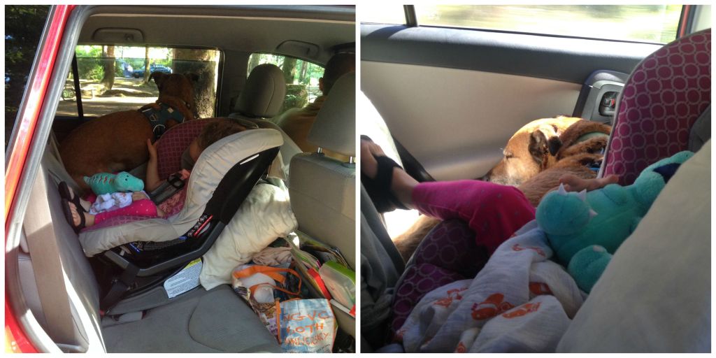 Vegan Camping with a Toddler and Neurotic Dog // Be Sol-Ful