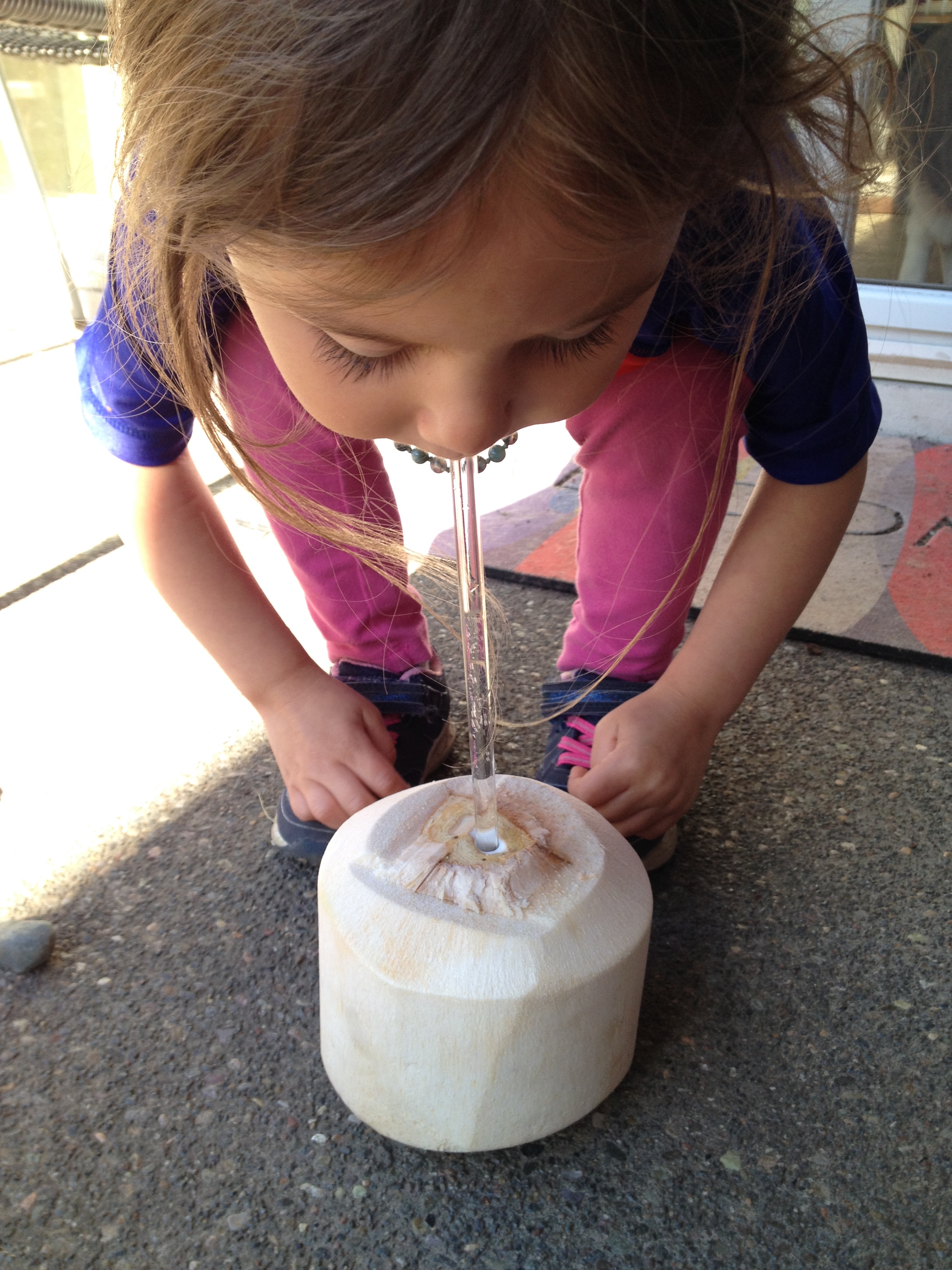 My Fully Raw Week & What I Ate