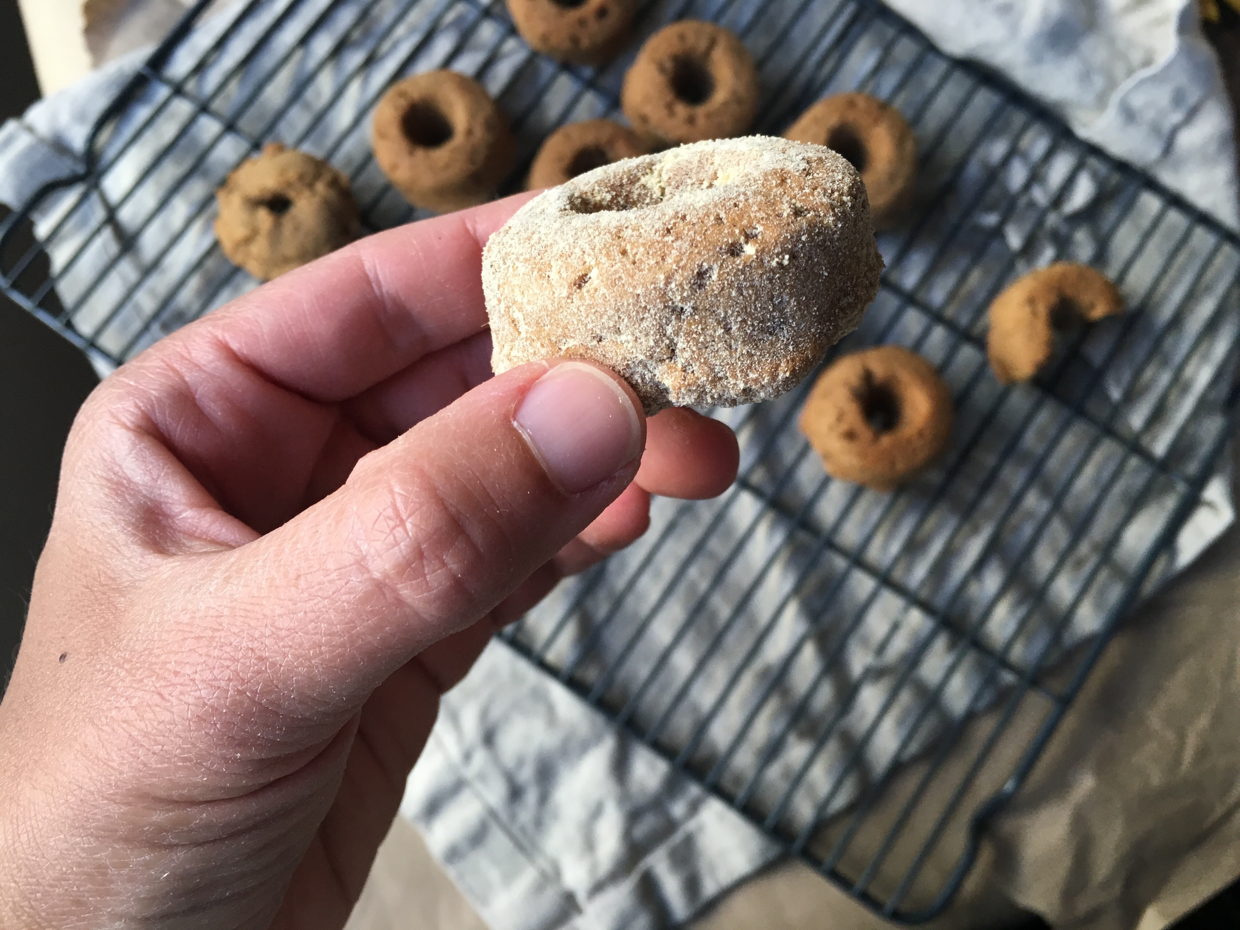 What I Ate in a Day {AIP}