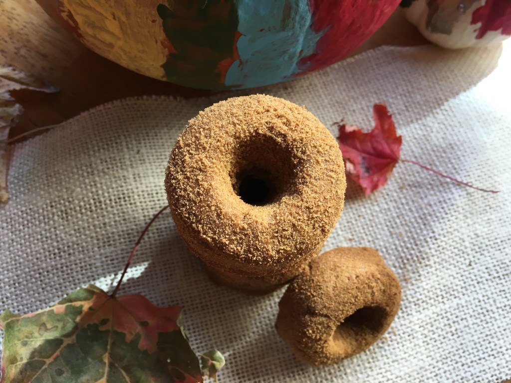 Baked Cinnamon Mini Donuts {AIP,&nbsp;Vegan}