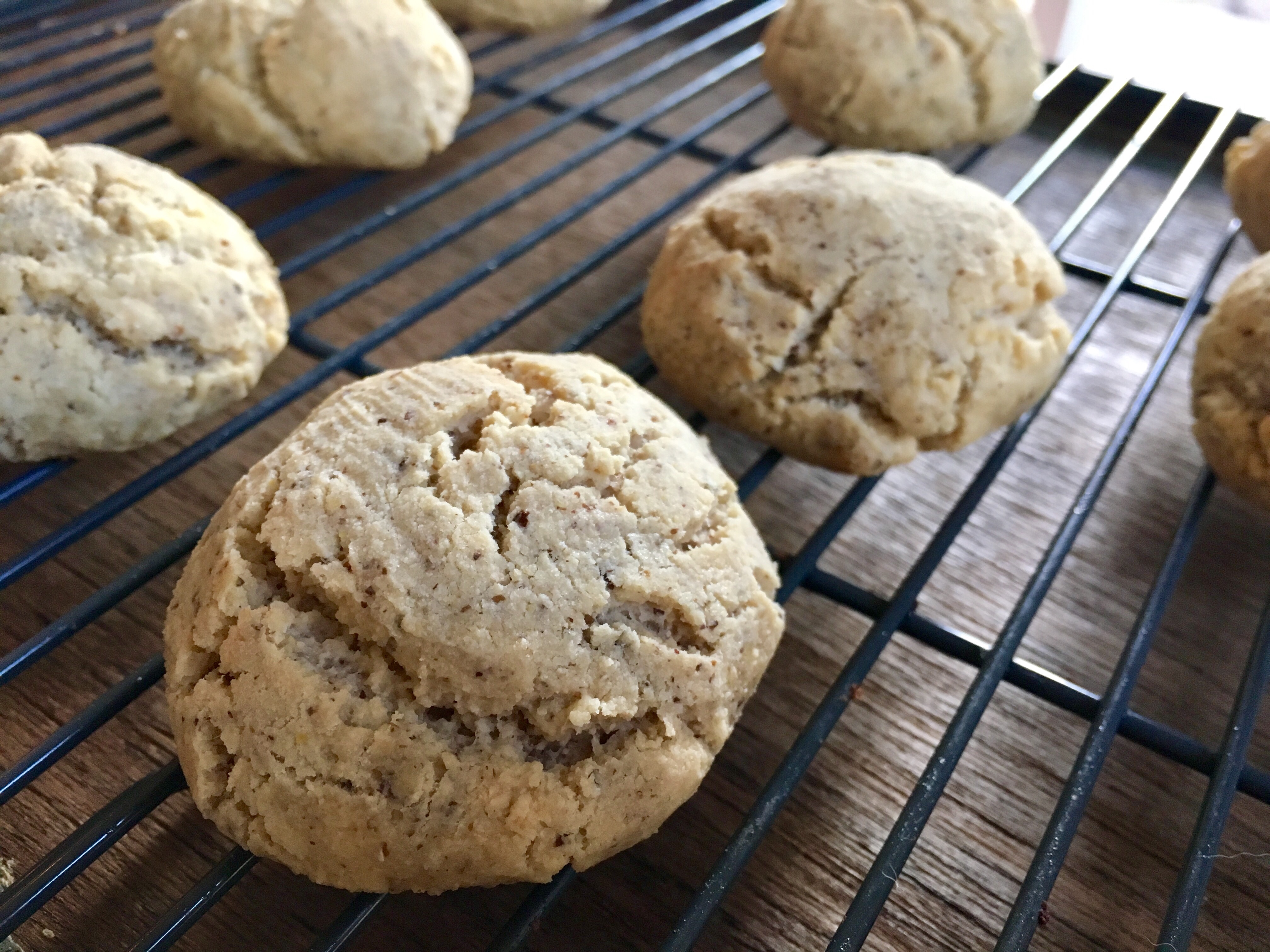 REVIEW: March 2017 Favorites 