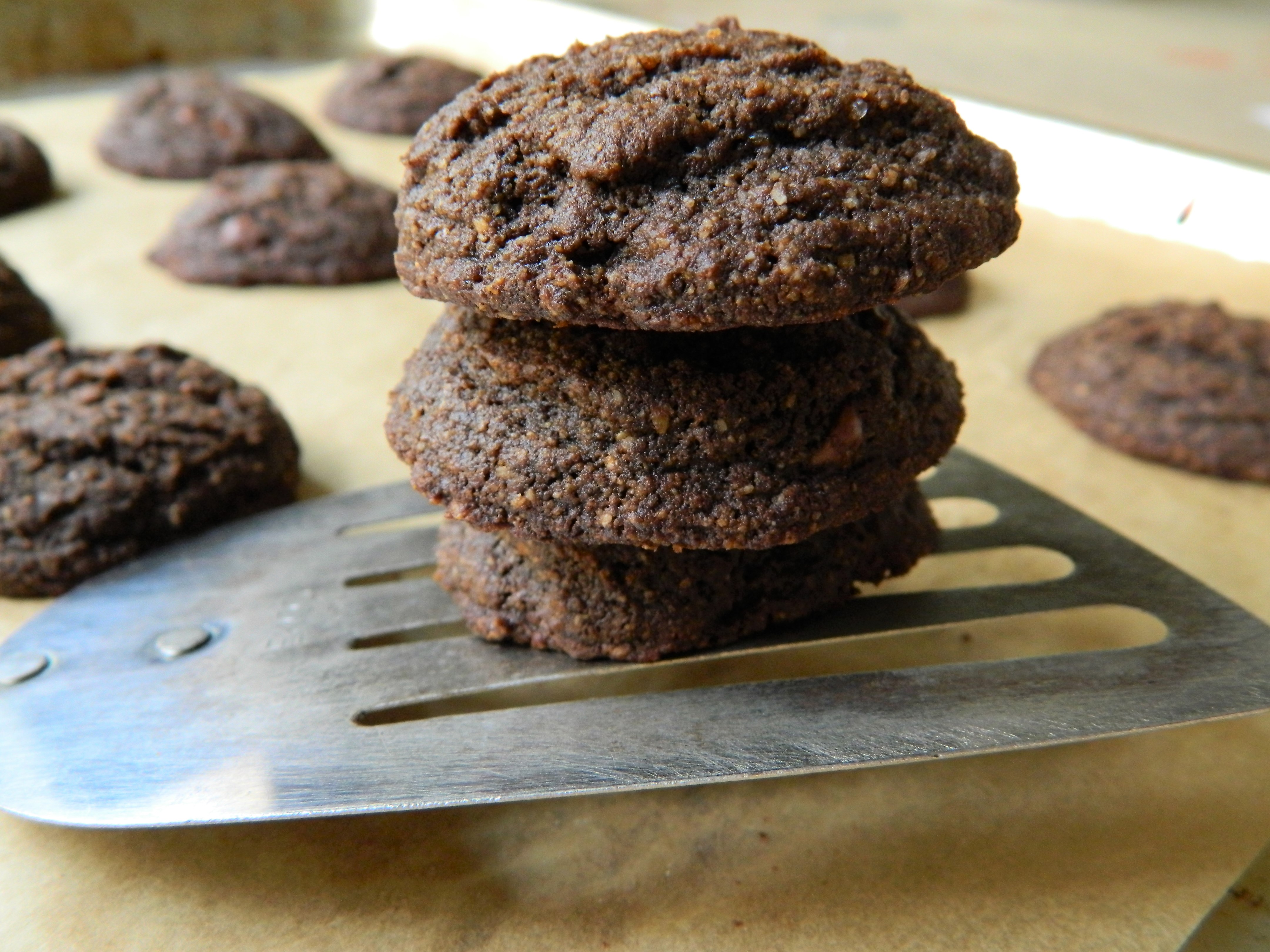 RECIPE: Grain-Free Chocolate Cookies