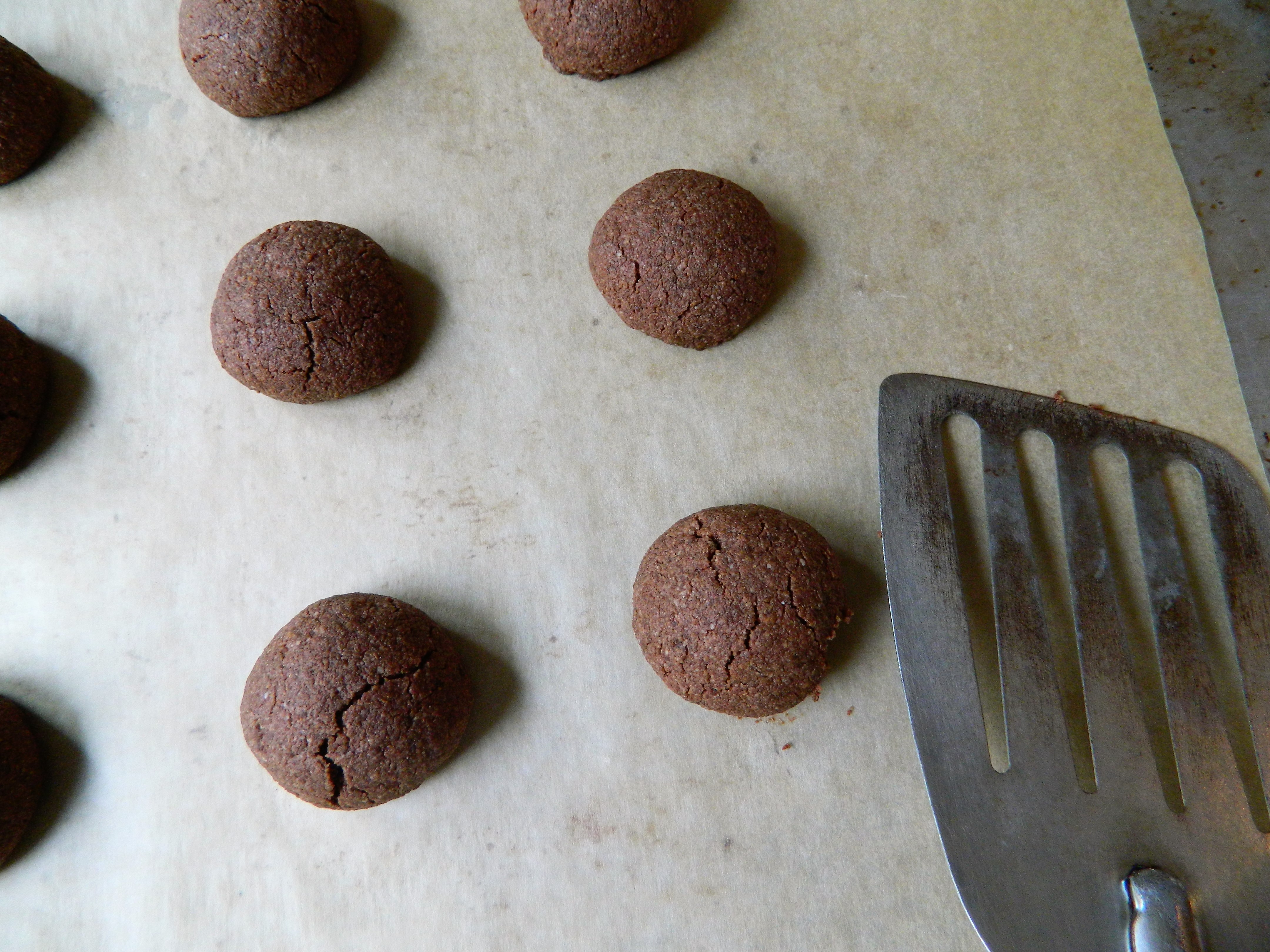 RECIPE: Grain-Free Chocolate Cookies