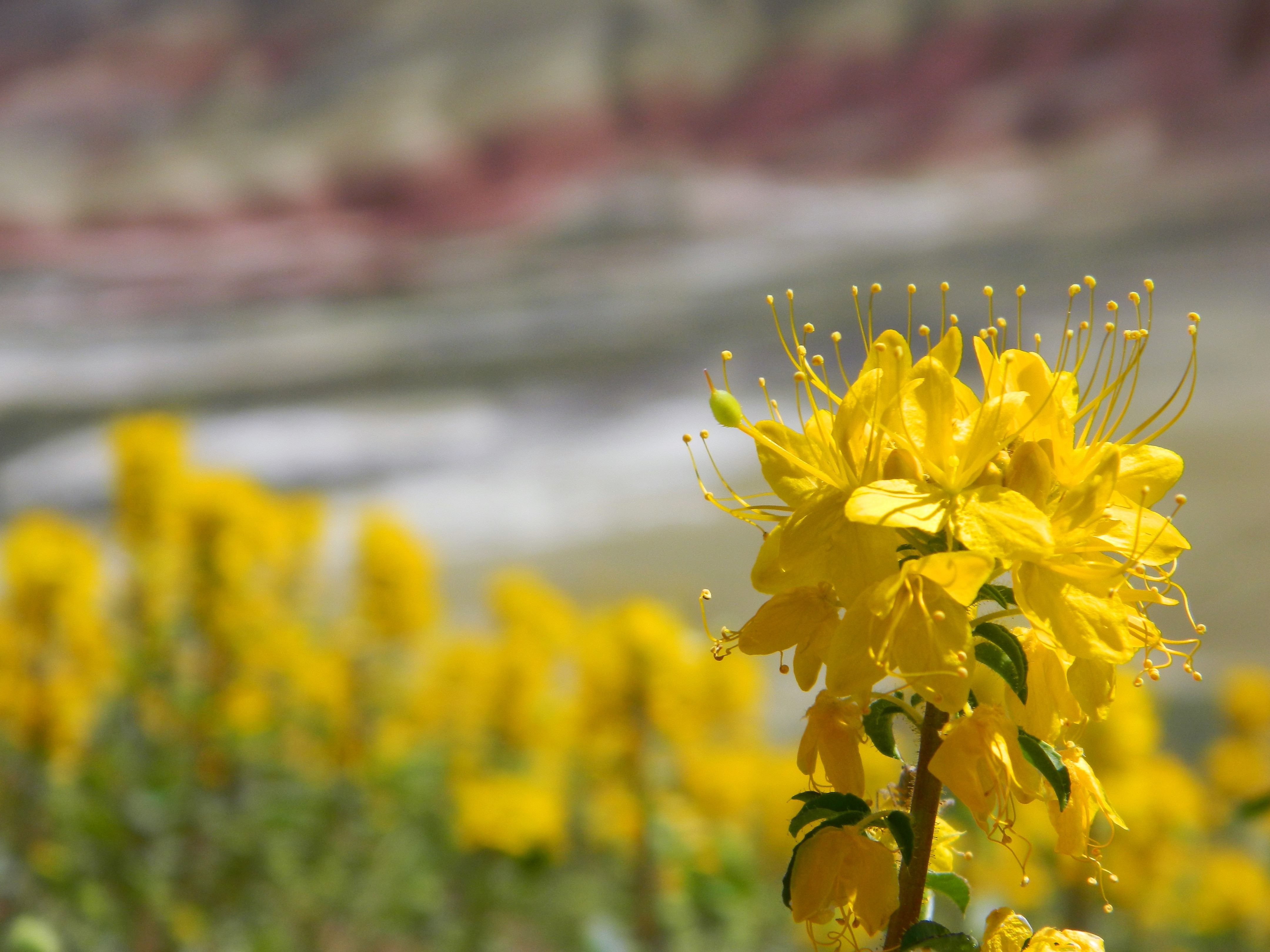 A Year in Gratitude (part II)