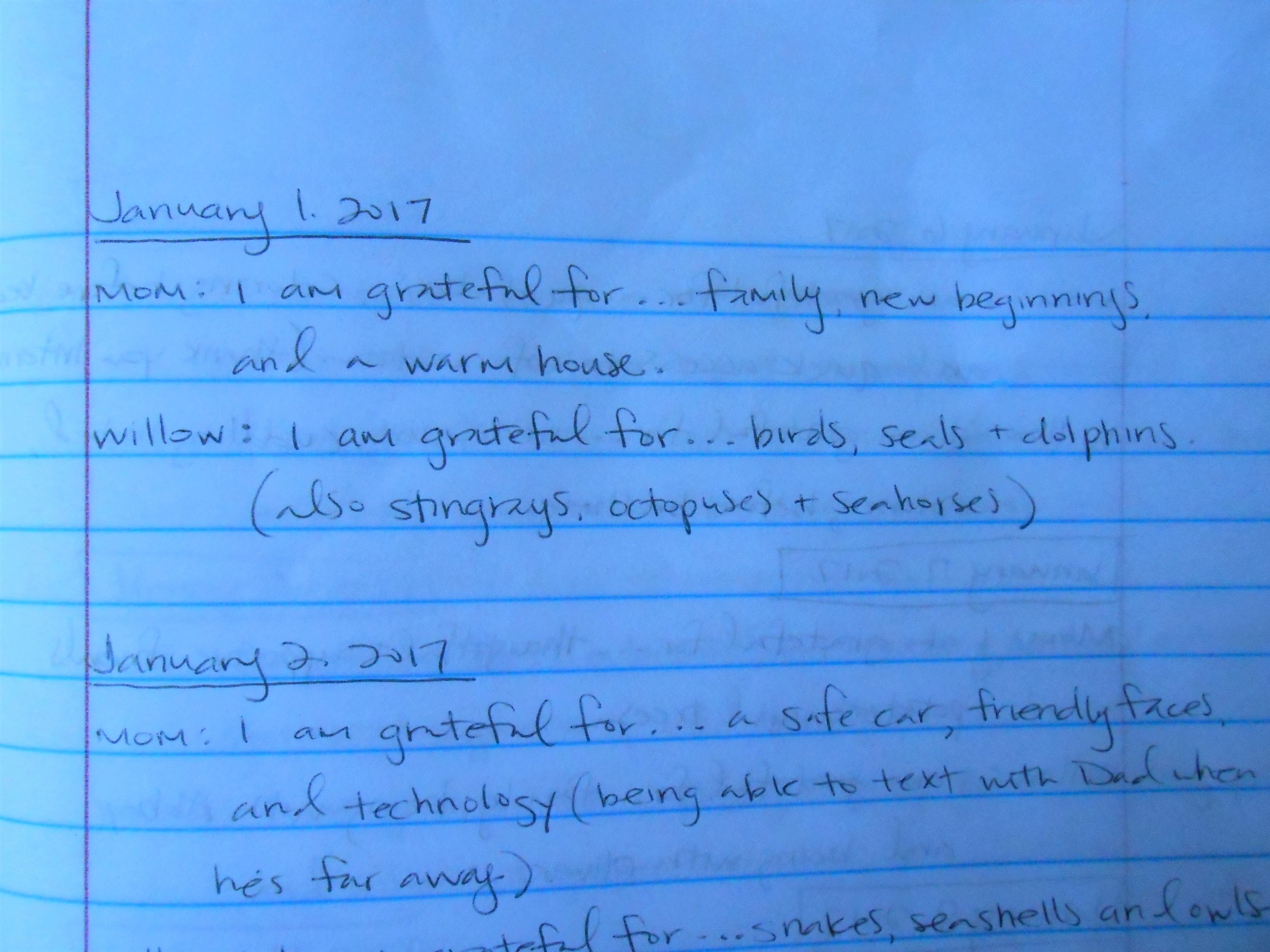 A Year in Gratitude // Be Sol-Ful Living