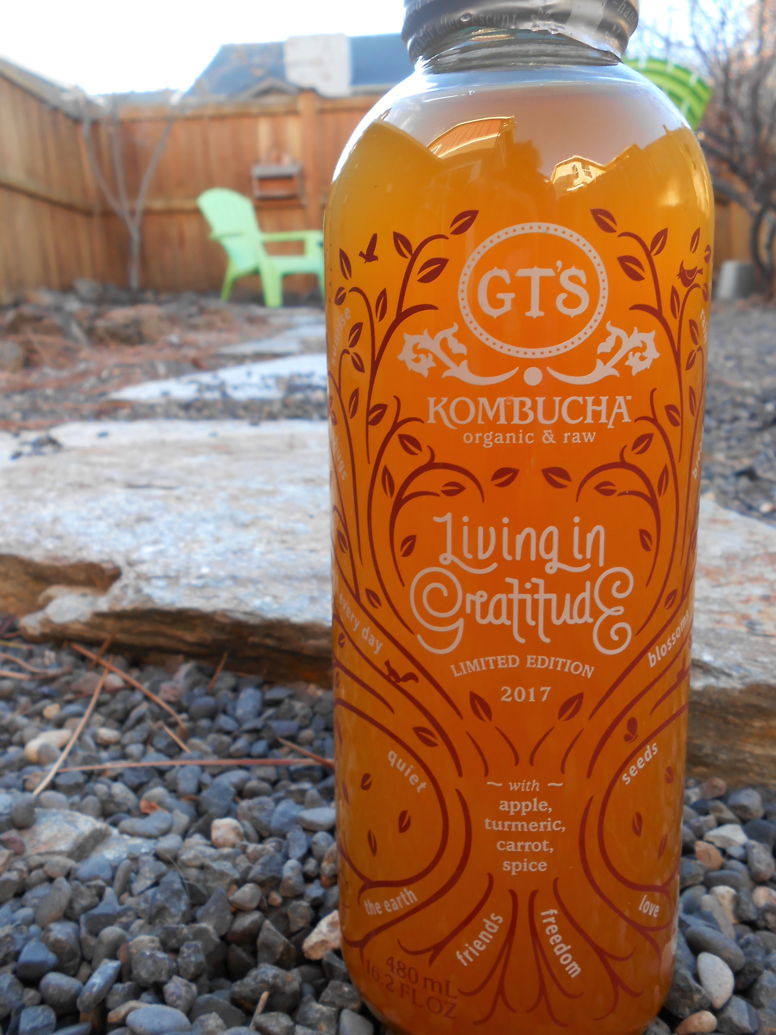 A Year in Gratitude // Be Sol-Ful Living