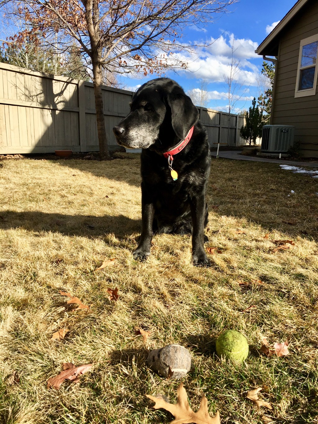 Monday Musings 3.19.18