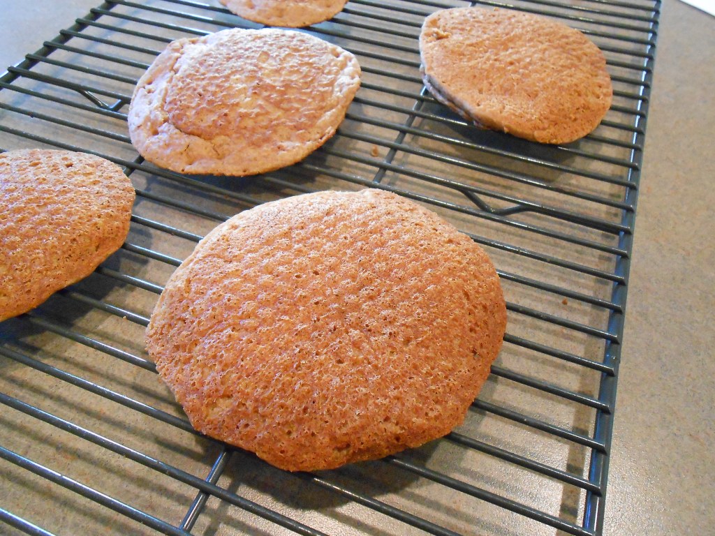 November 2019 in Review