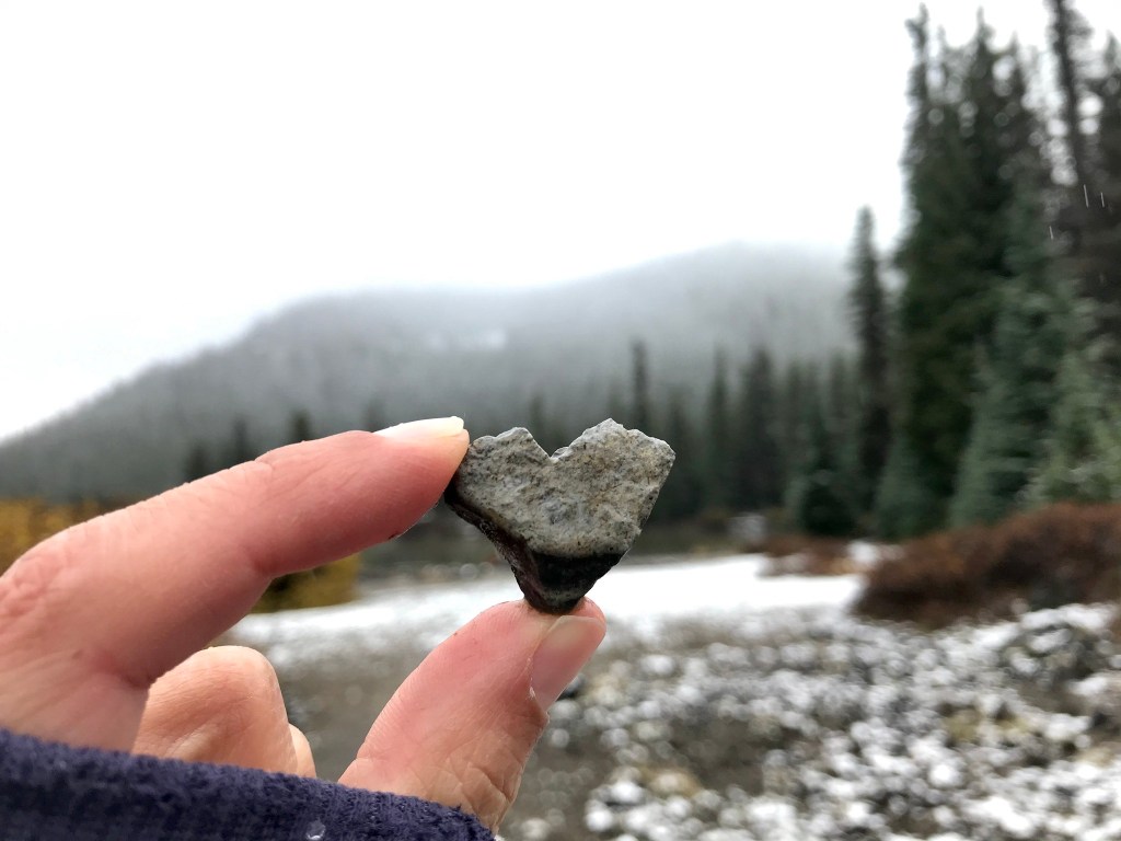 In Times of Uncertainty and&nbsp;Isolation