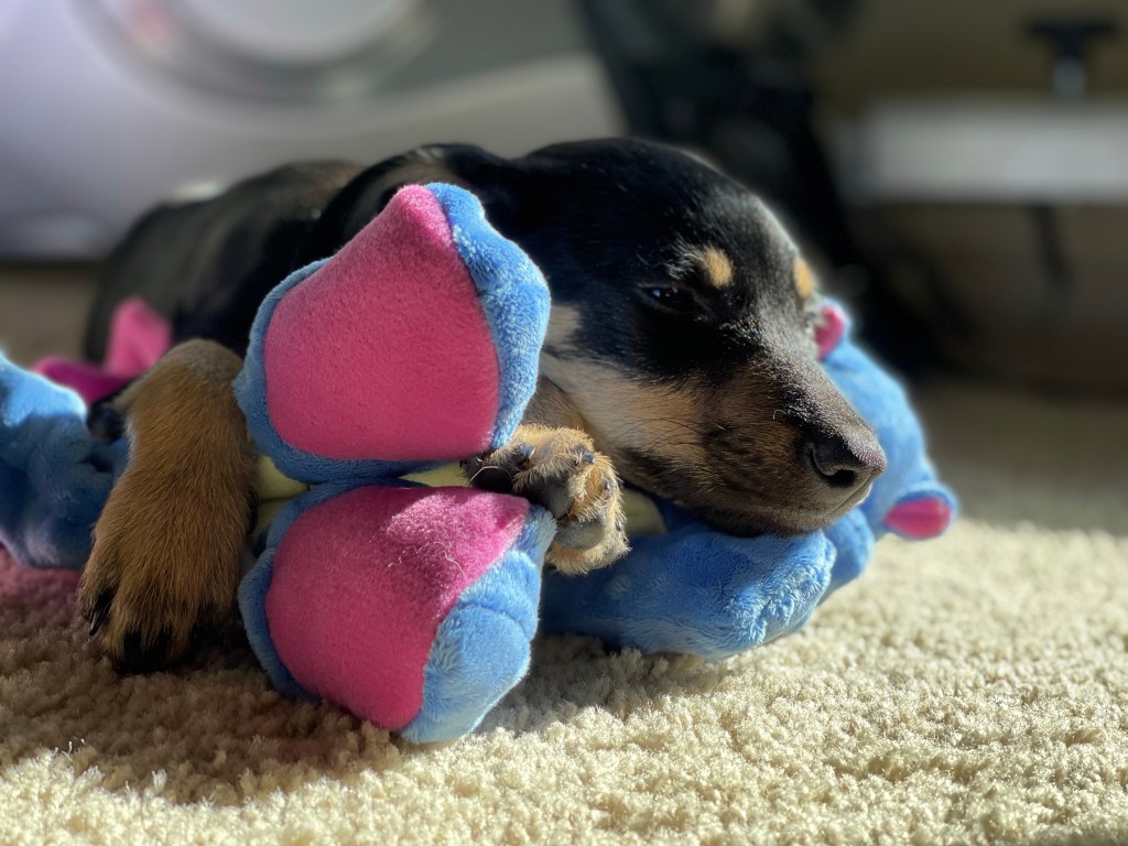 March 2021 in Review