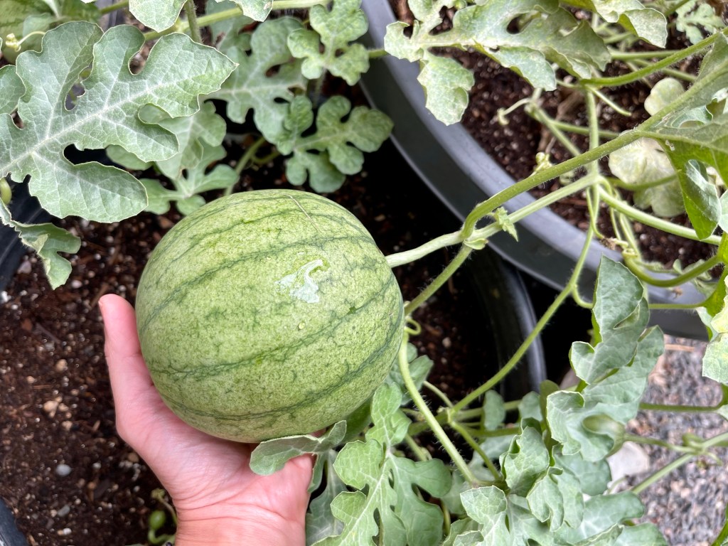 July 2021 in&nbsp;Review